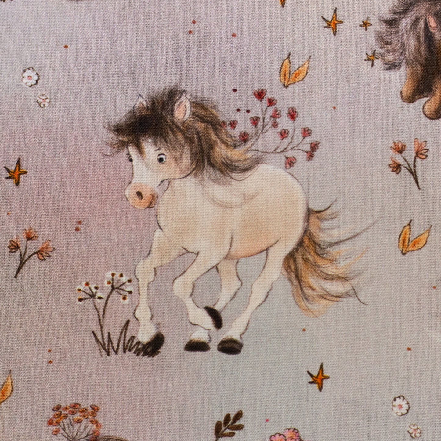 Baumwolle "Ponyliebe"