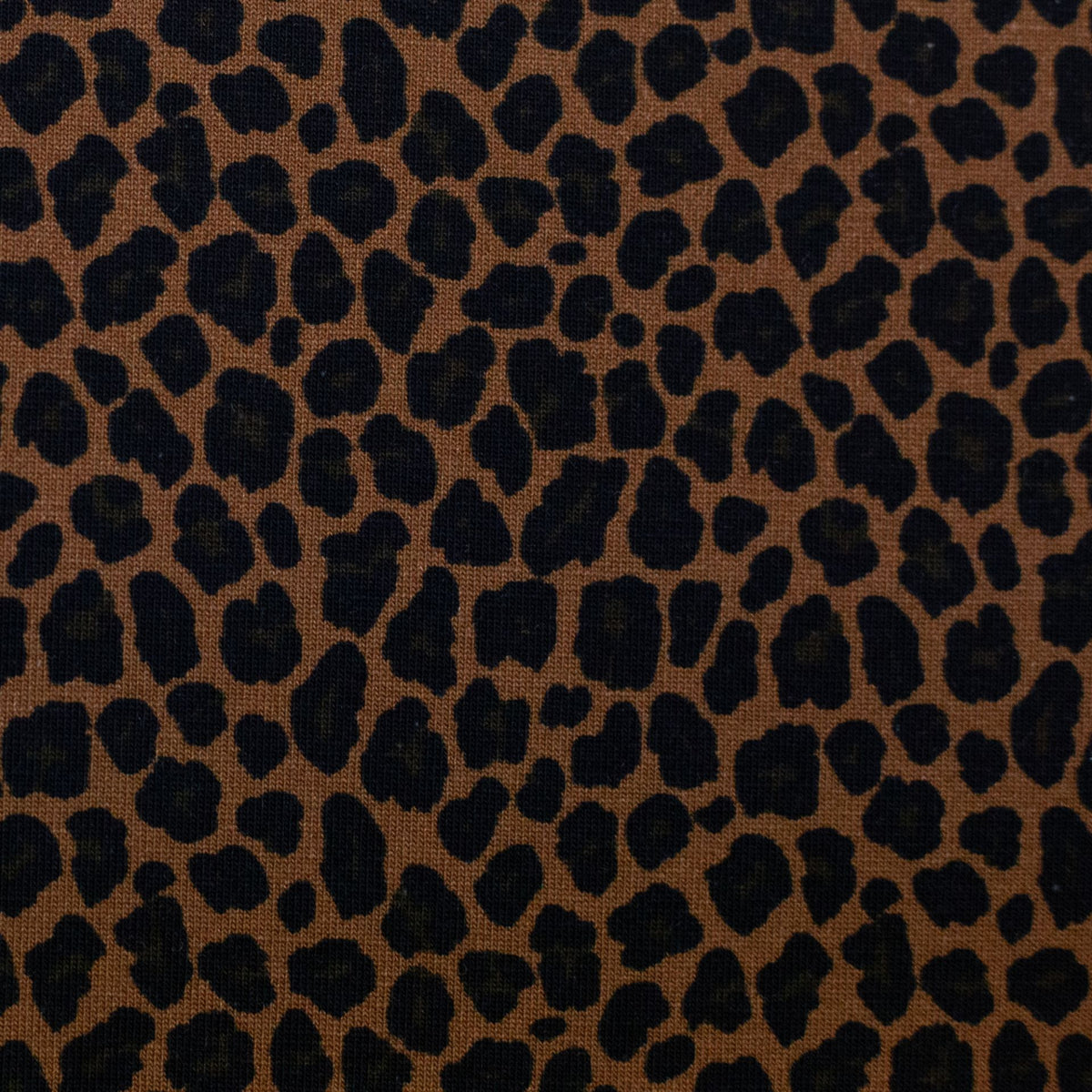 Jersey "Leo"