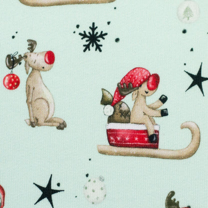 Kuschelsweat "Winter Wonderland hellmint" by Sabine Marschall