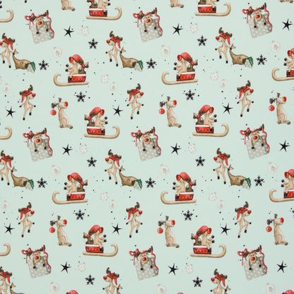 Kuschelsweat "Winter Wonderland hellmint" by Sabine Marschall