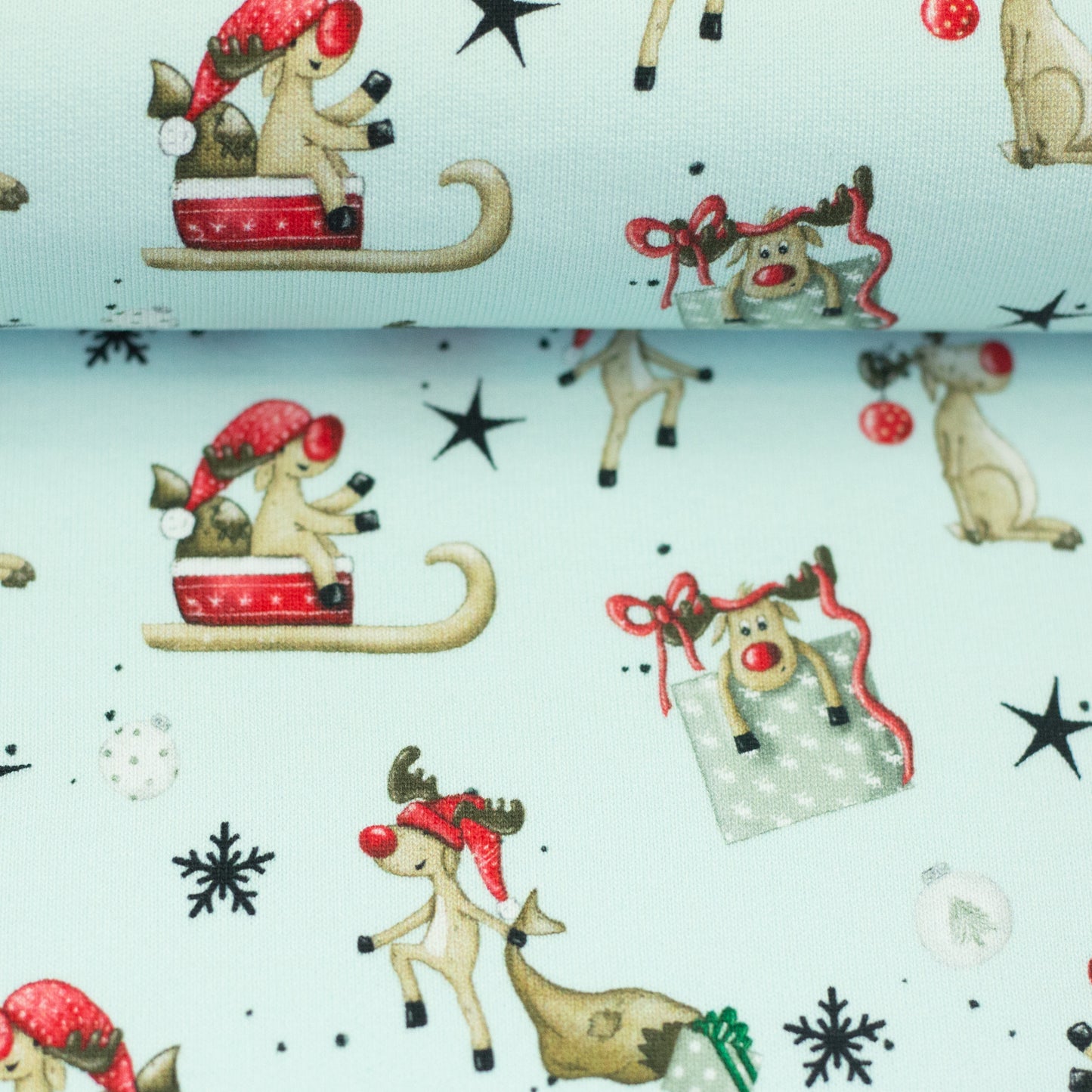 Kuschelsweat "Winter Wonderland hellmint" by Sabine Marschall